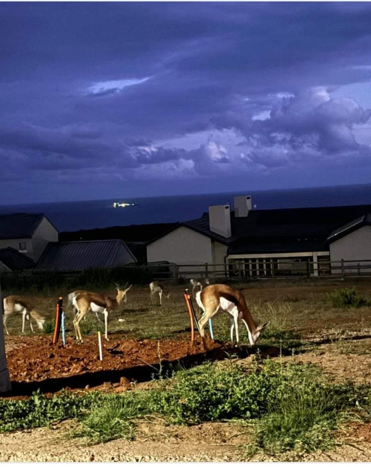 2 Bedroom Property for Sale in Hartland Lifestyle Estate Western Cape